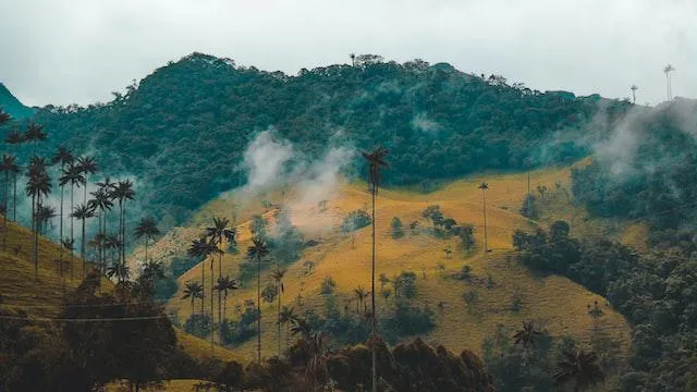 View of Cocora Valley in Colombia