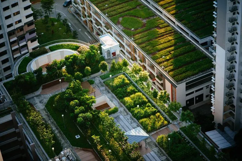 A view of a high-rise roof garden from above