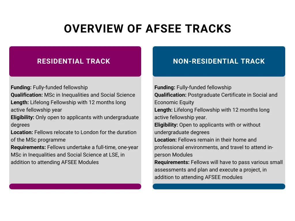 infographic showing an overview of the two fellowship tracks